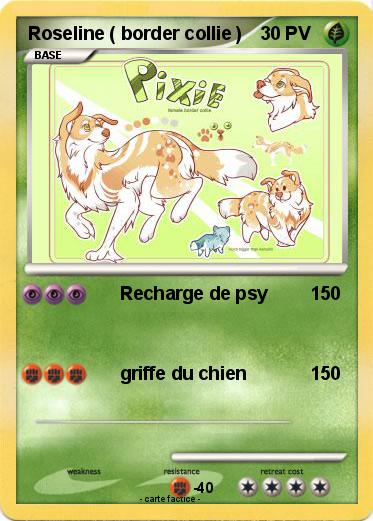 Pokemon Roseline ( border collie )