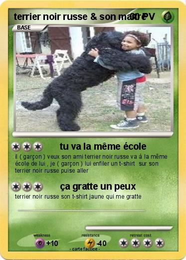 Pokemon terrier noir russe & son maitre