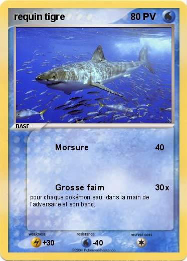 Pokemon requin tigre 