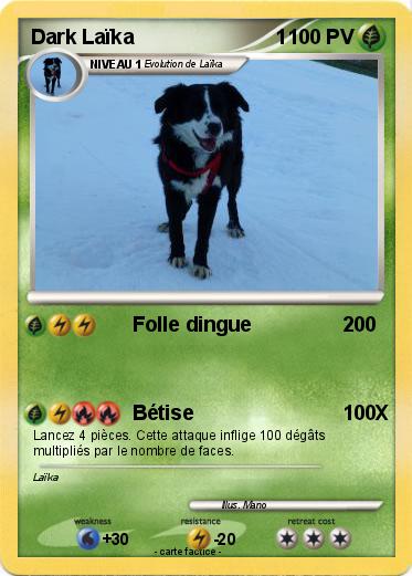 Pokemon Dark Laïka                         1