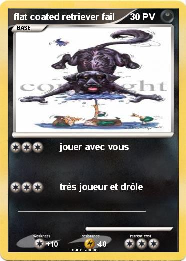 Pokemon flat coated retriever fail