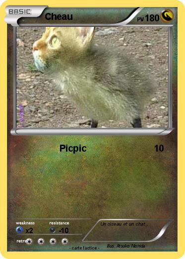 Pokemon Cheau