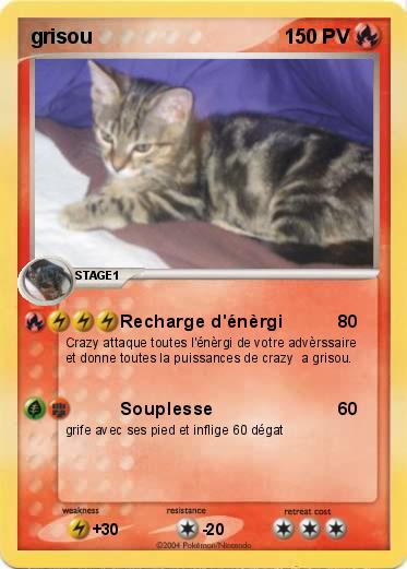 Pokemon grisou
