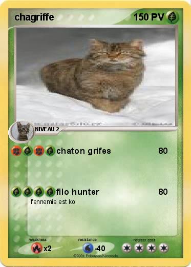 Pokemon chagriffe