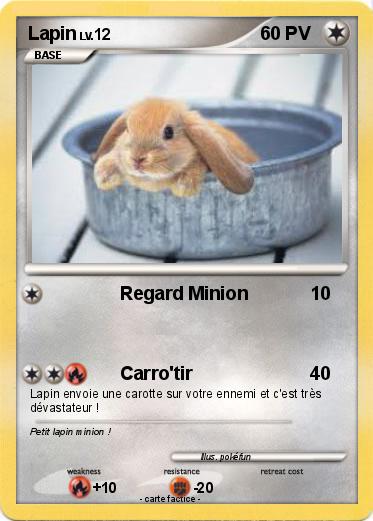 Pokemon Lapin