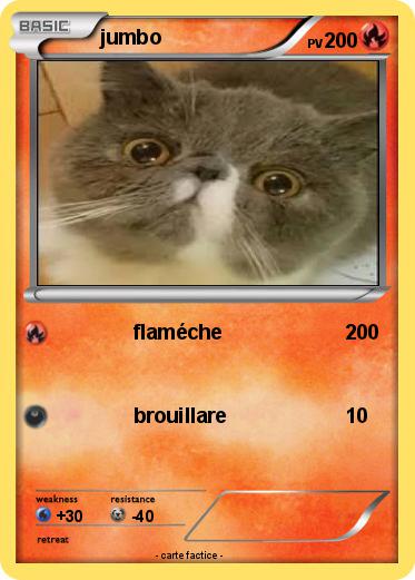 Pokemon jumbo