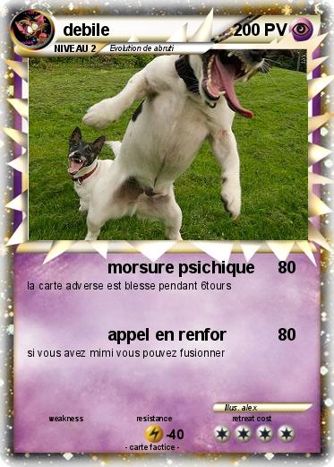 Pokemon debile