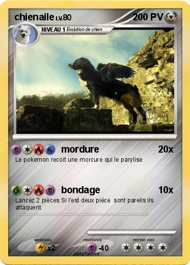 Pokemon chienaile
