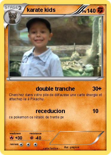 Pokemon karate kids