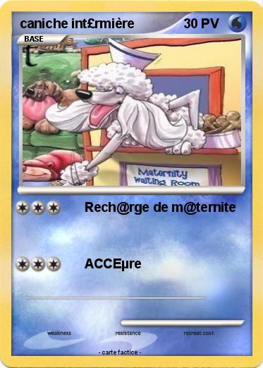 Pokemon caniche int£rmière