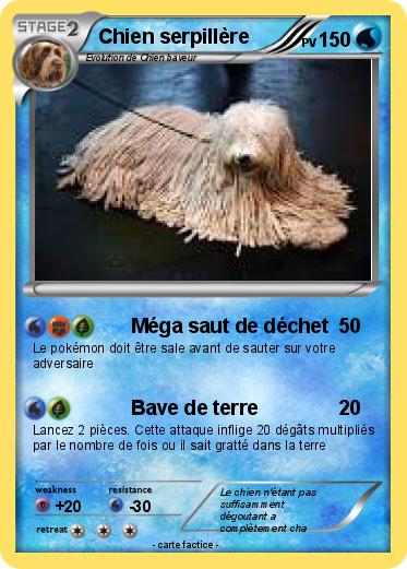 Pokemon Chien serpillère