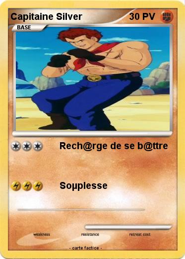 Pokemon Capitaine Silver