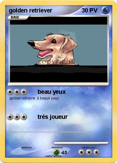Pokemon golden retriever