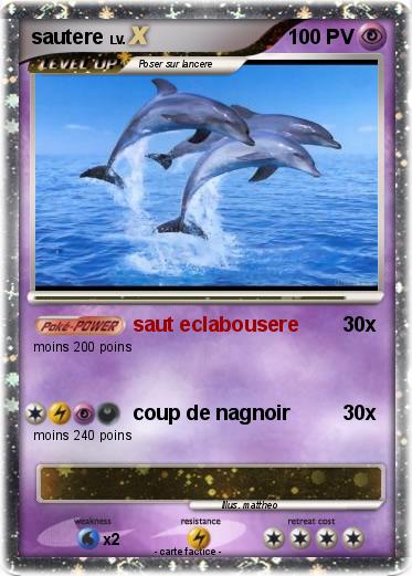Pokemon sautere