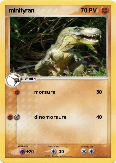 Pokemon minityran