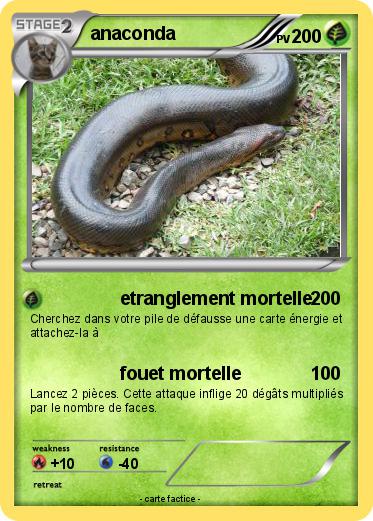 Pokemon anaconda