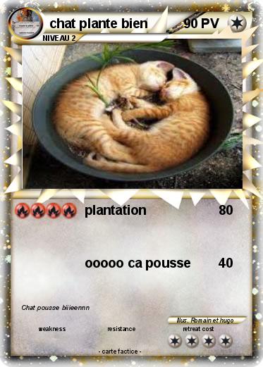 Pokemon chat plante bien