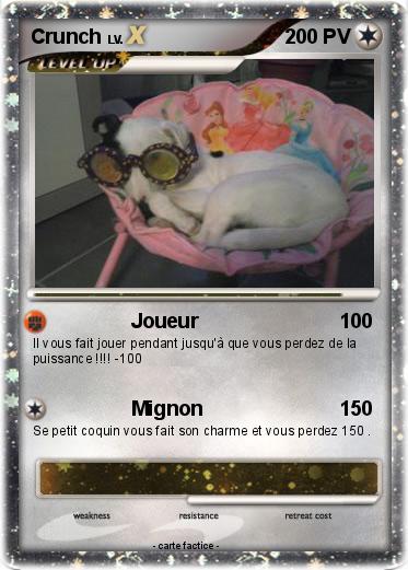 Pokemon Crunch