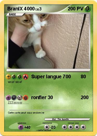 Pokemon BranlX 4000