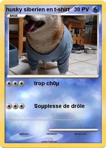 Pokemon husky siberien en t-shirt