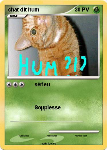 Pokemon chat dit hum