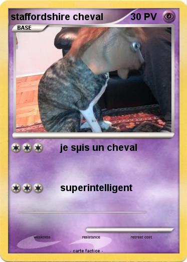 Pokemon staffordshire cheval
