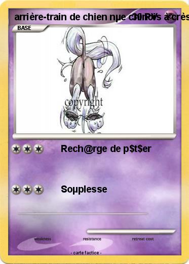 Pokemon arrière-train de chien nµe chinois à crèstre