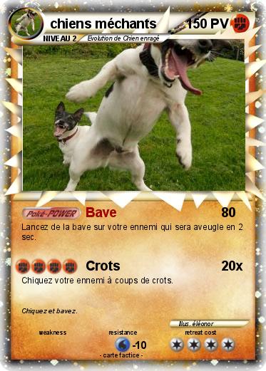 Pokemon chiens méchants