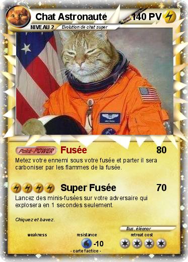 Pokemon Chat Astronaute