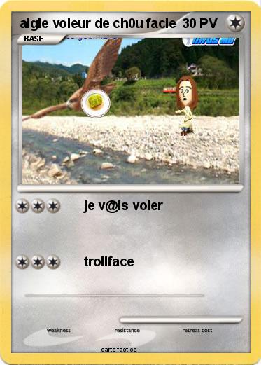 Pokemon aigle voleur de ch0u facie