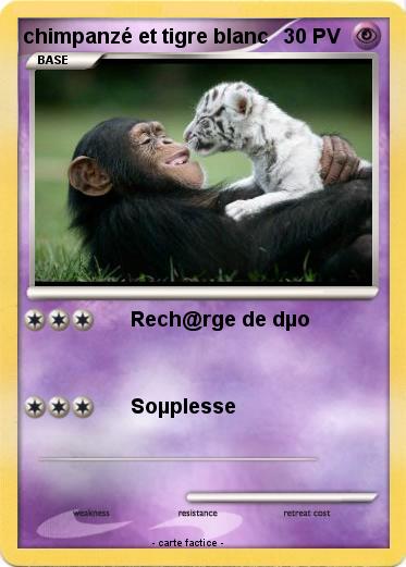Pokemon chimpanzé et tigre blanc