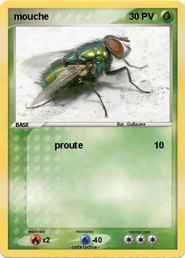 Pokemon mouche