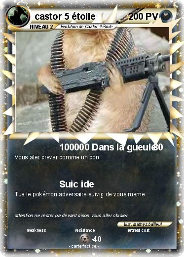 Pokemon castor 5 étoile