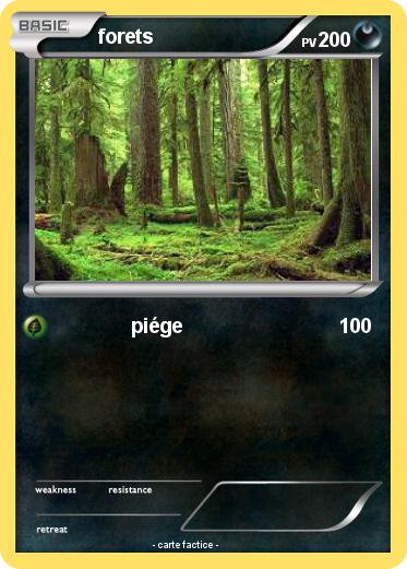 Pokemon forets