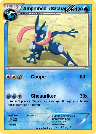 Pokemon Amphinobi (Sacha)