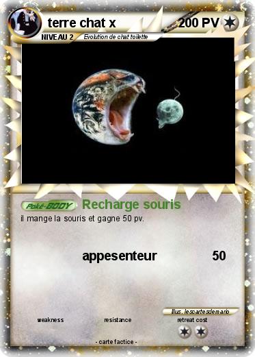 Pokemon terre chat x