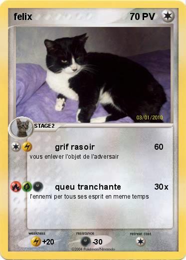 Pokemon felix