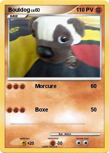 Pokemon Bouldog