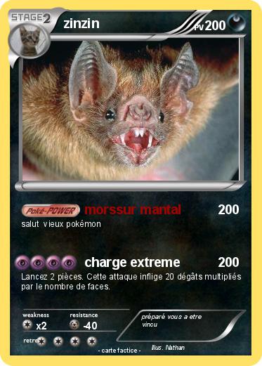 Pokemon zinzin
