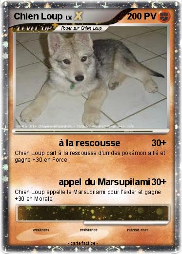 Pokemon Chien Loup
