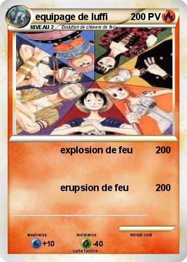 Pokemon equipage de luffi