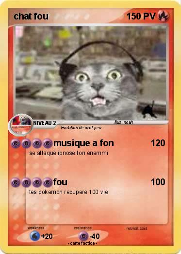 Pokemon chat fou