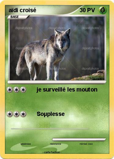 Pokemon aïdi croisé