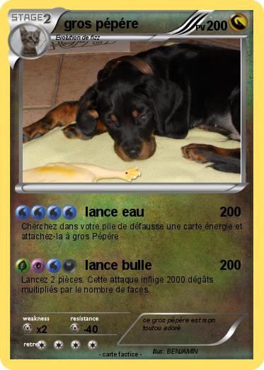 Pokemon gros pépére