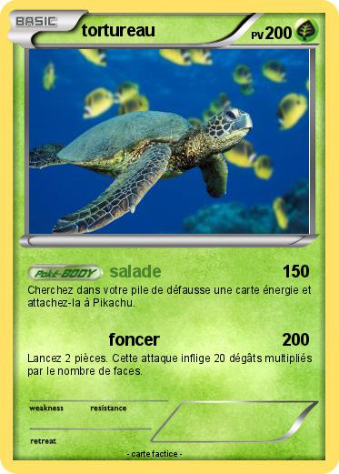 Pokemon tortureau