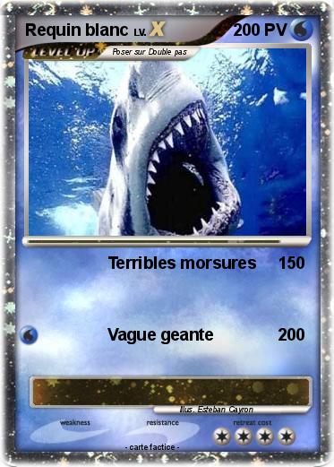 Pokemon Requin blanc