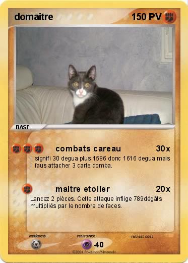 Pokemon domaitre 