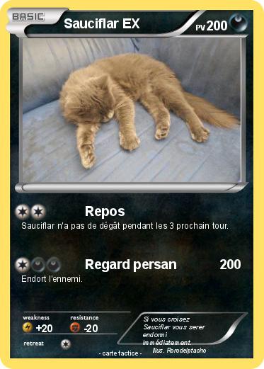Pokemon Sauciflar EX