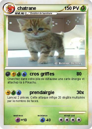 Pokemon chatrane