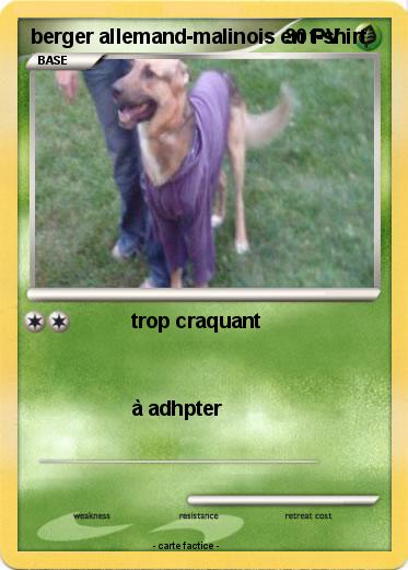 Pokemon berger allemand-malinois en t-shirt